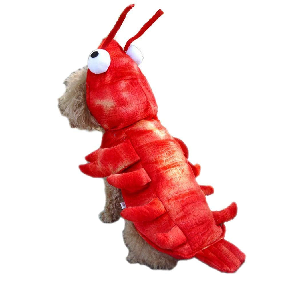 Disfraz langosta Coppthinktu para Halloween, cómodo y llamativo para fotos.