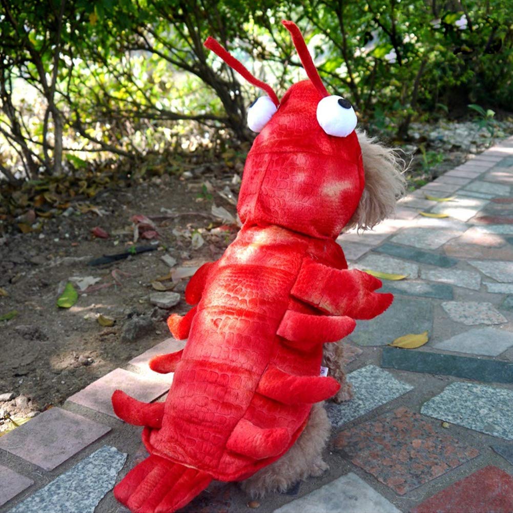 Prop fotográfica con disfraz langosta Coppthinktu para eventos.