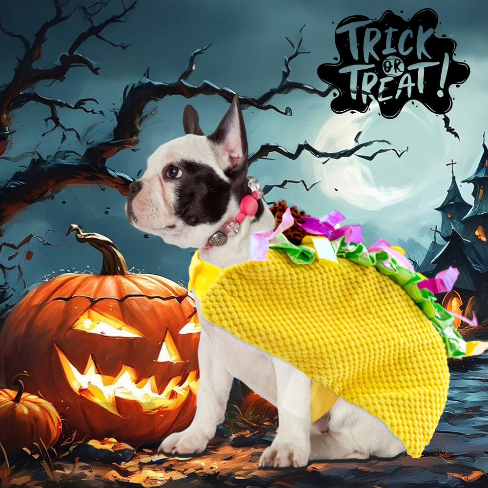 Coppthinktu disfraz taco para perro en fiesta; look festivo para fotos.