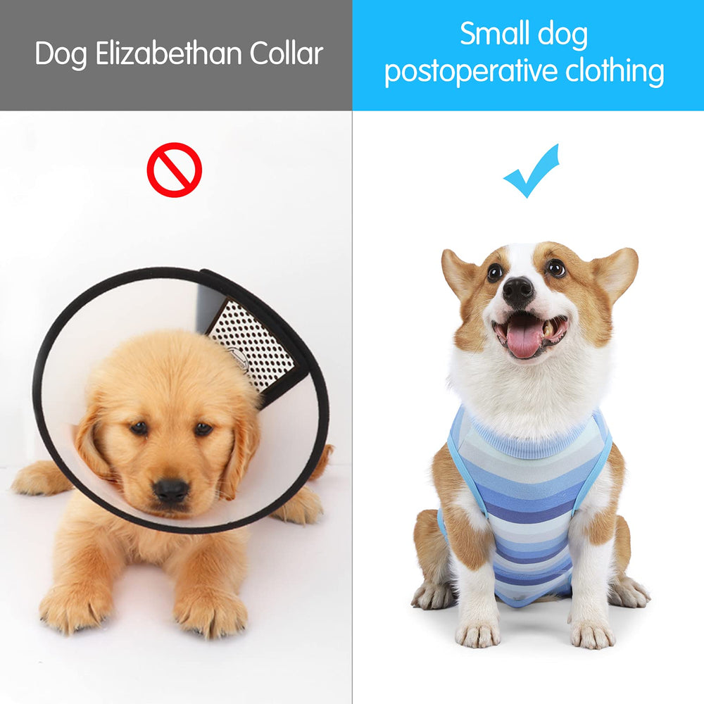 Coppthinktu prenda recuperacion, proteccion total para uso postoperatorio de mascotas