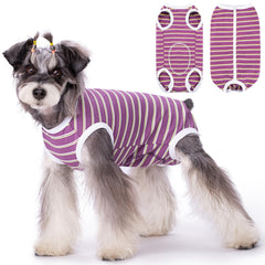 Coppthinktu traje de recuperación para perro, frente, ajuste cómodo para movilidad durante la recuperación.