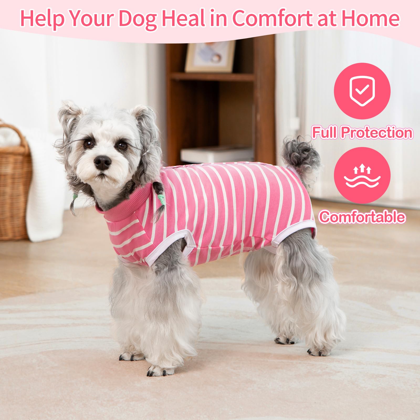 Coppthinktu Recovery Suit, protección de la zona genital para evitar lamidos y mordiscos.