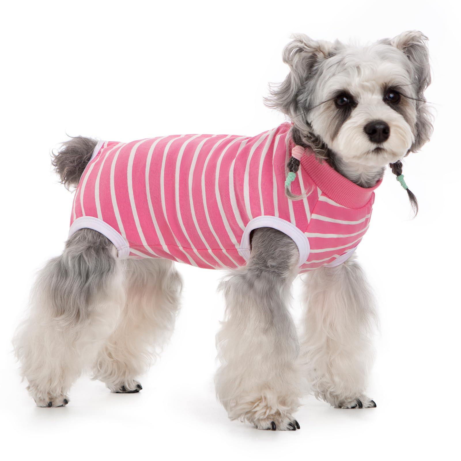 Coppthinktu Recovery Suit, uso posquirúrgico para evitar que otros perros laman la zona operada.