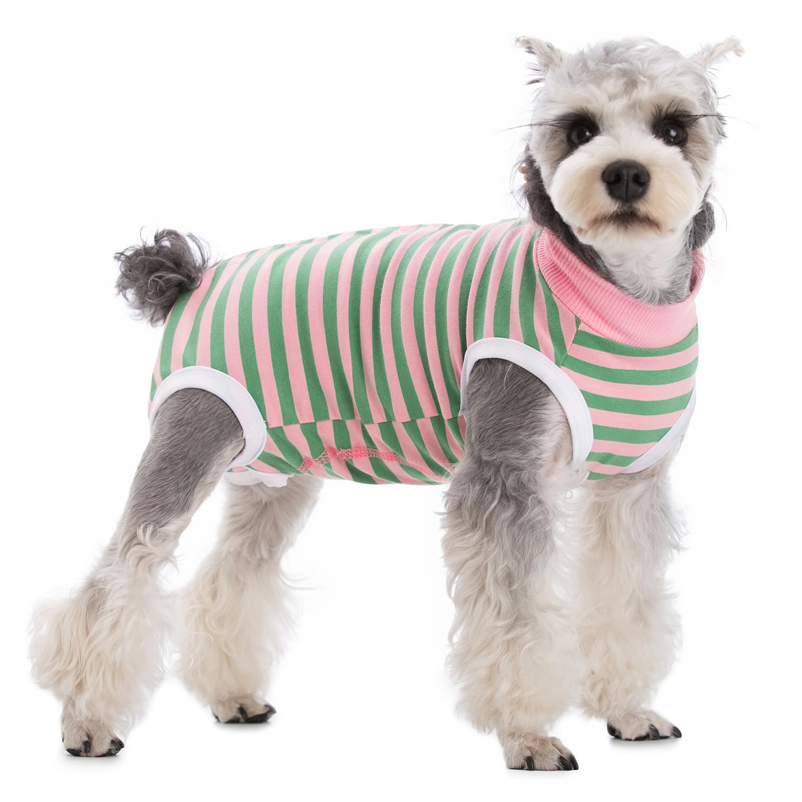 Coppthinktu talla adecuada para perros pequeños y medianos