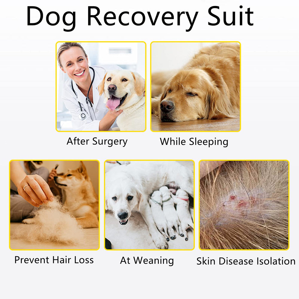 Traje Coppthinktu de Recuperación, diseño unisex, apto para perros pequeños y medianos.
