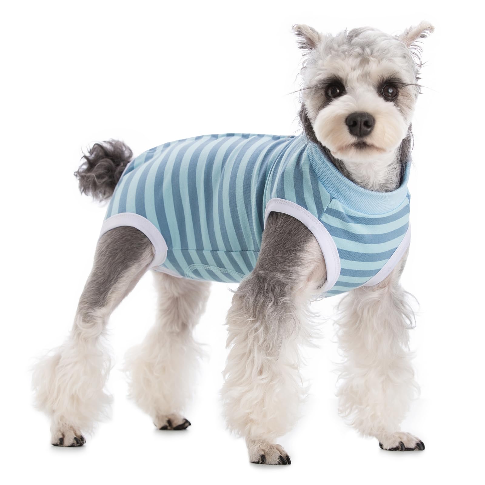 Coppthinktu traje recuperación para perro: ajuste cómodo para machos y hembras