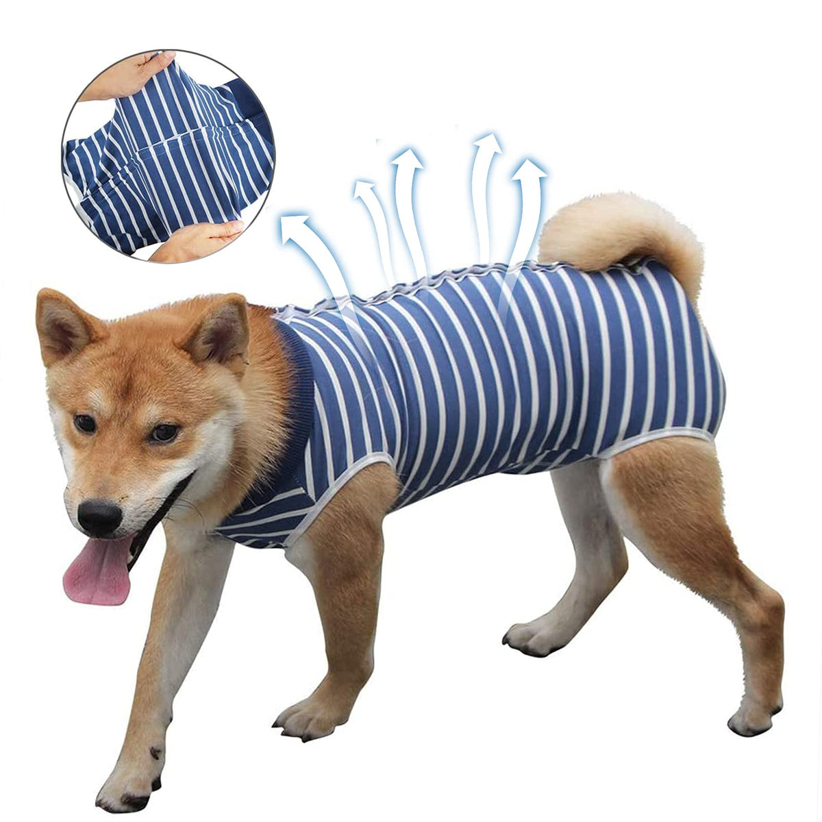 Coppthinktu traje de recuperación para perros con botones: fácil de colocar y quitar.