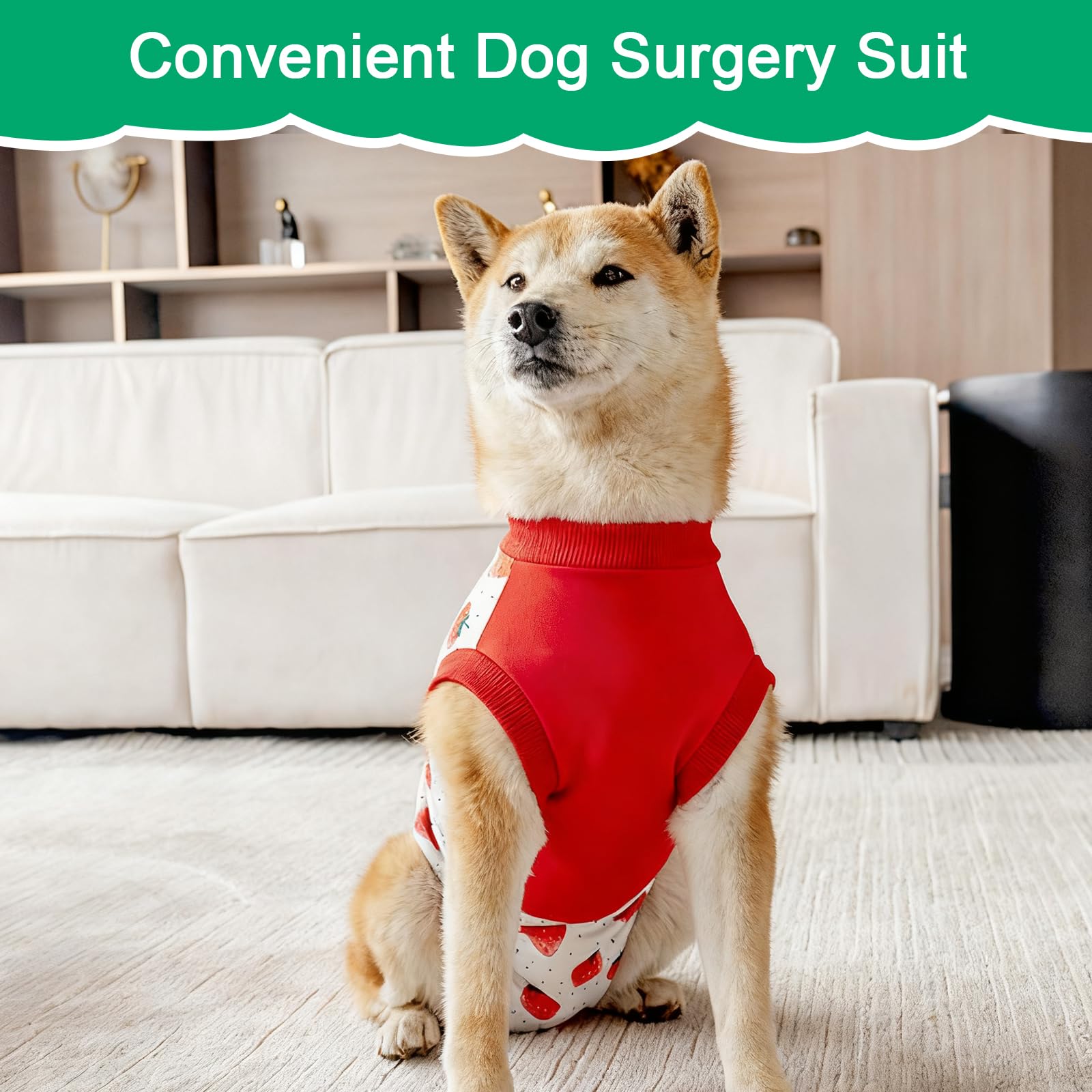 Coppthinktu traje de recuperación para perros, patrón dinosaurio, ideal para mantener al animal cómodo tras cirugía.