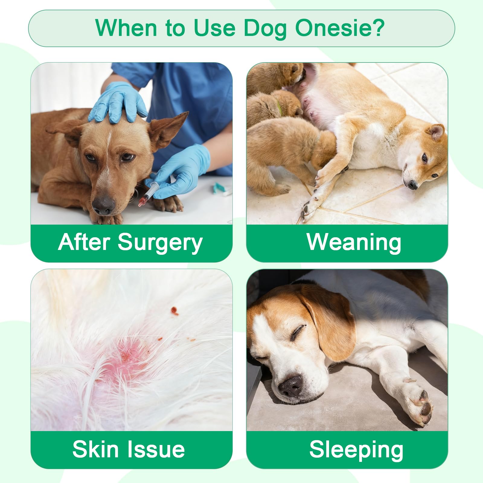Coppthinktu traje de recuperación para perros, protección del pecho, abdomen y espalda.