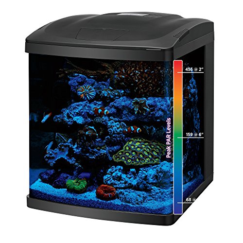 Coralife BioCube tamaño de 16 galones para empezar en acuarios diversos.