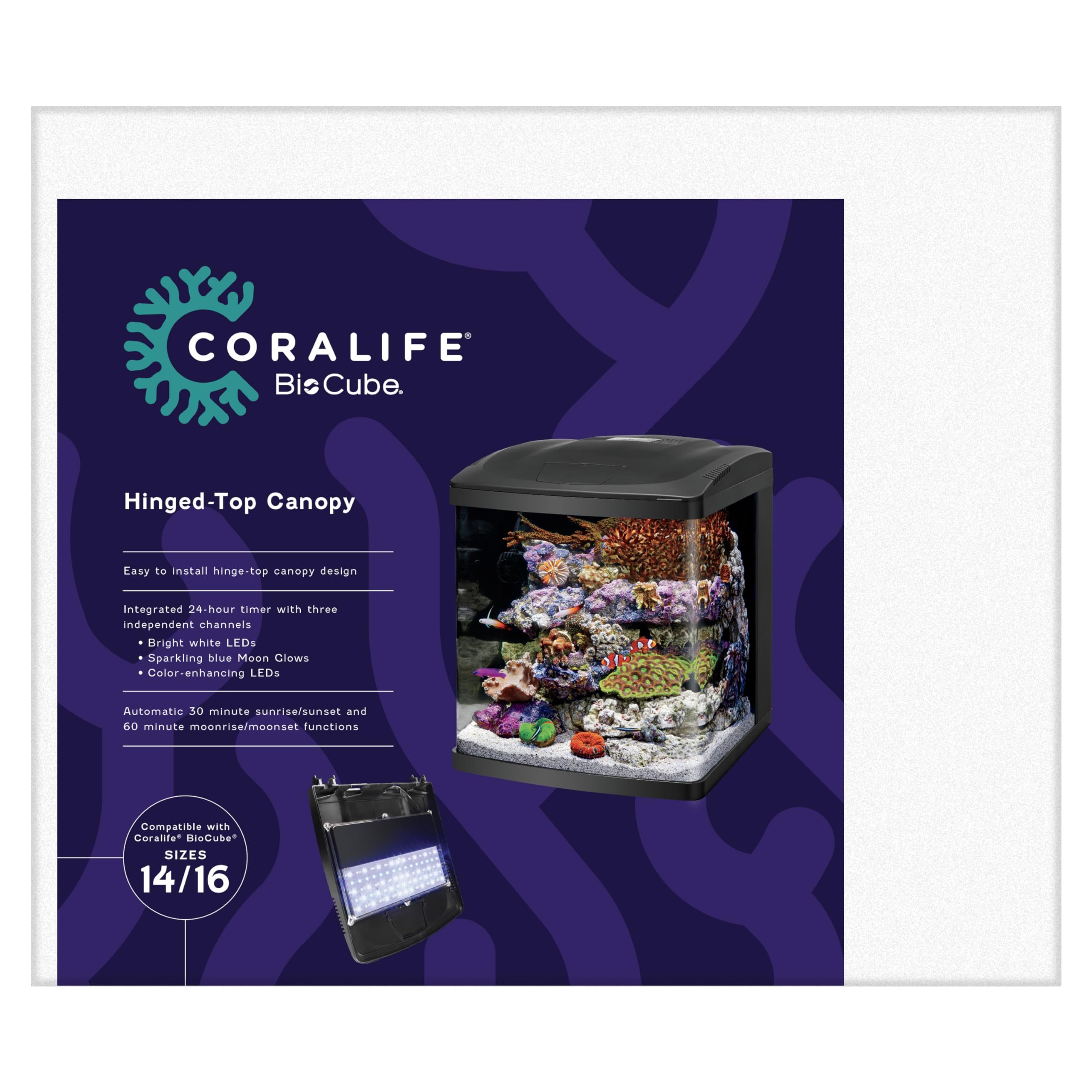 Coralife BioCube: iluminacion LED diurna realza colores de los peces.