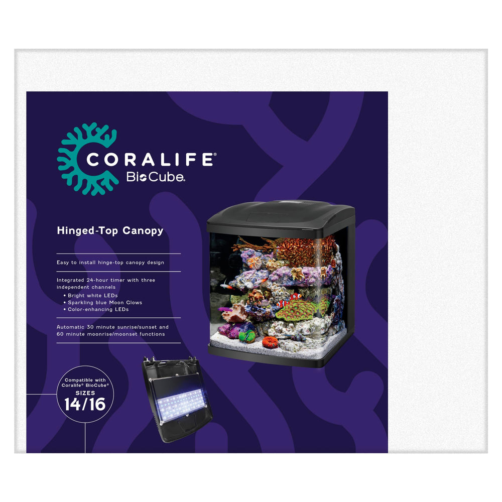 Coralife BioCube: iluminacion LED diurna realza colores de los peces.