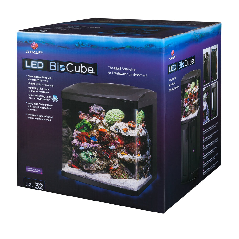 Coralife BioCube con temporizador de 24 horas para un ciclo día/noche estable.