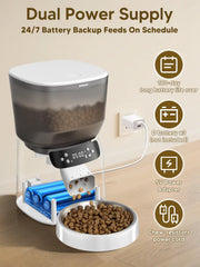 CORGOTE fuente de agua para gatos con filtración triple.
