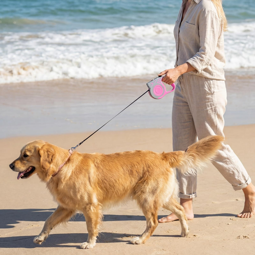 Uso para perros pequeños y medianos COSOWO en exterior