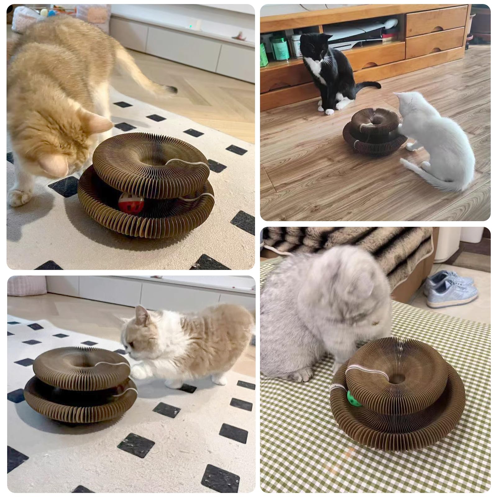 COSOWO Kitty Kurlz Organ uso en casa, entretenimiento flexible para gatos