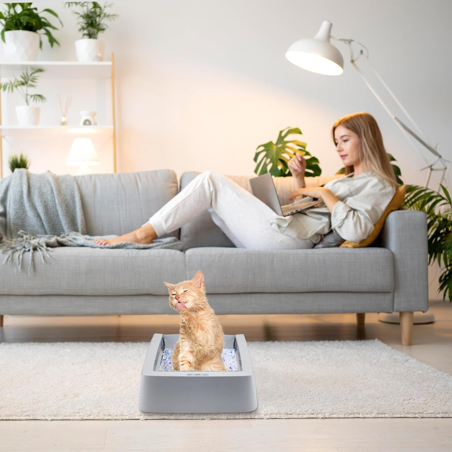COSPARX diseño ergonómico de la bandeja para manipulación cómoda.
