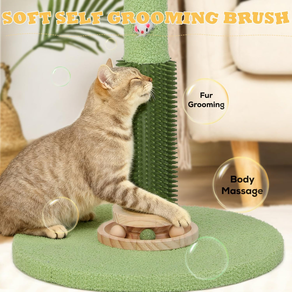 COUNER bola rodante con menta para gato, aroma que incentiva exploración