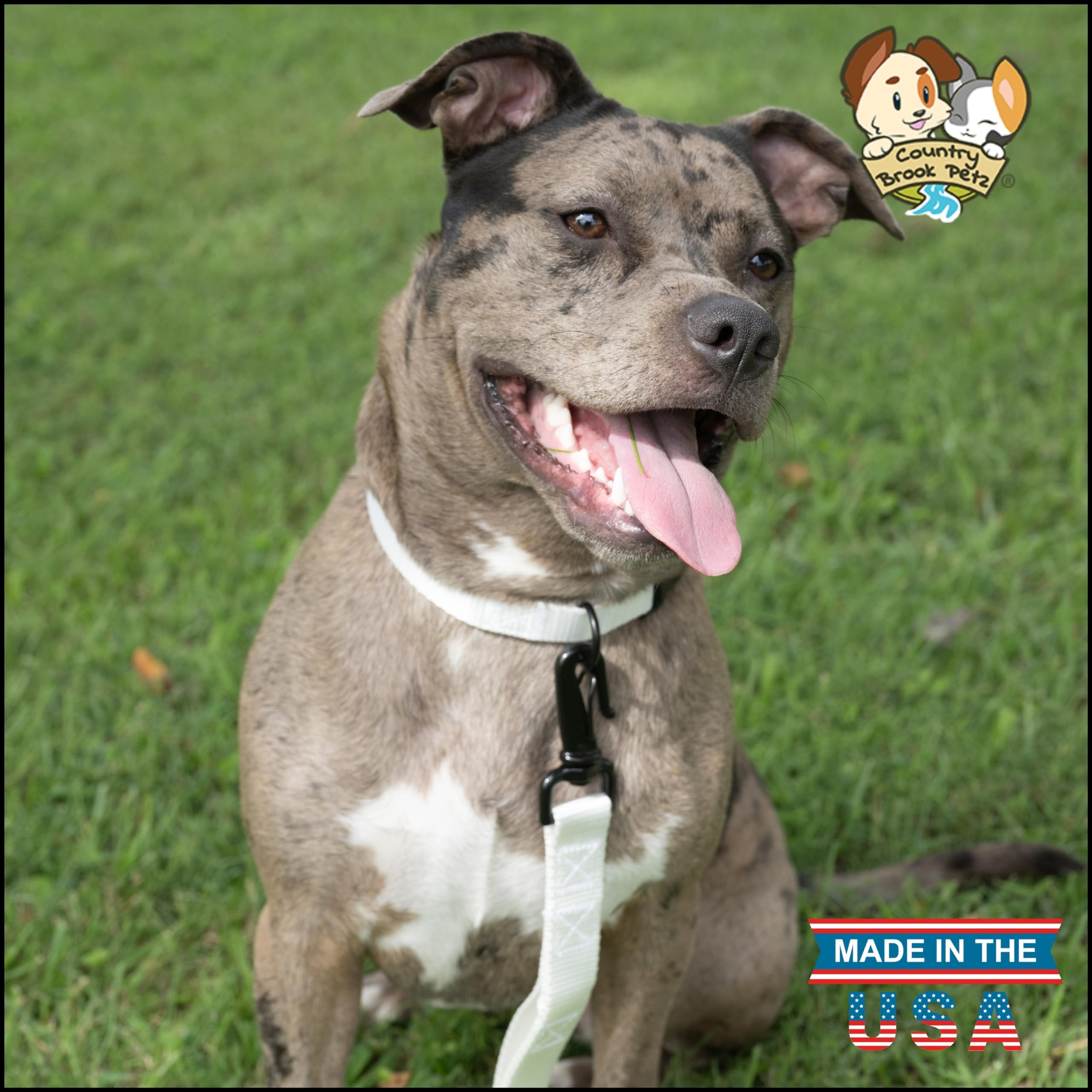Collar Country Brook Design: 33 colores vibrantes para reflejar la personalidad de tu perro.