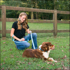 Collar Country Brook Petz con variada paleta de colores para estilo diario.