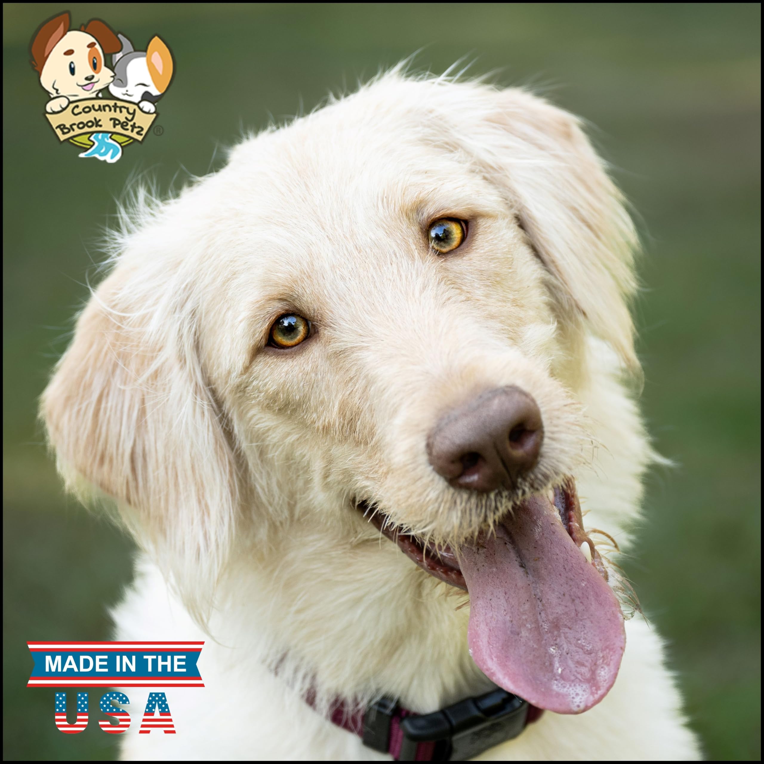 Collar Country Brook Design Petz con ajuste 13-16 pulgadas para un ajuste seguro.