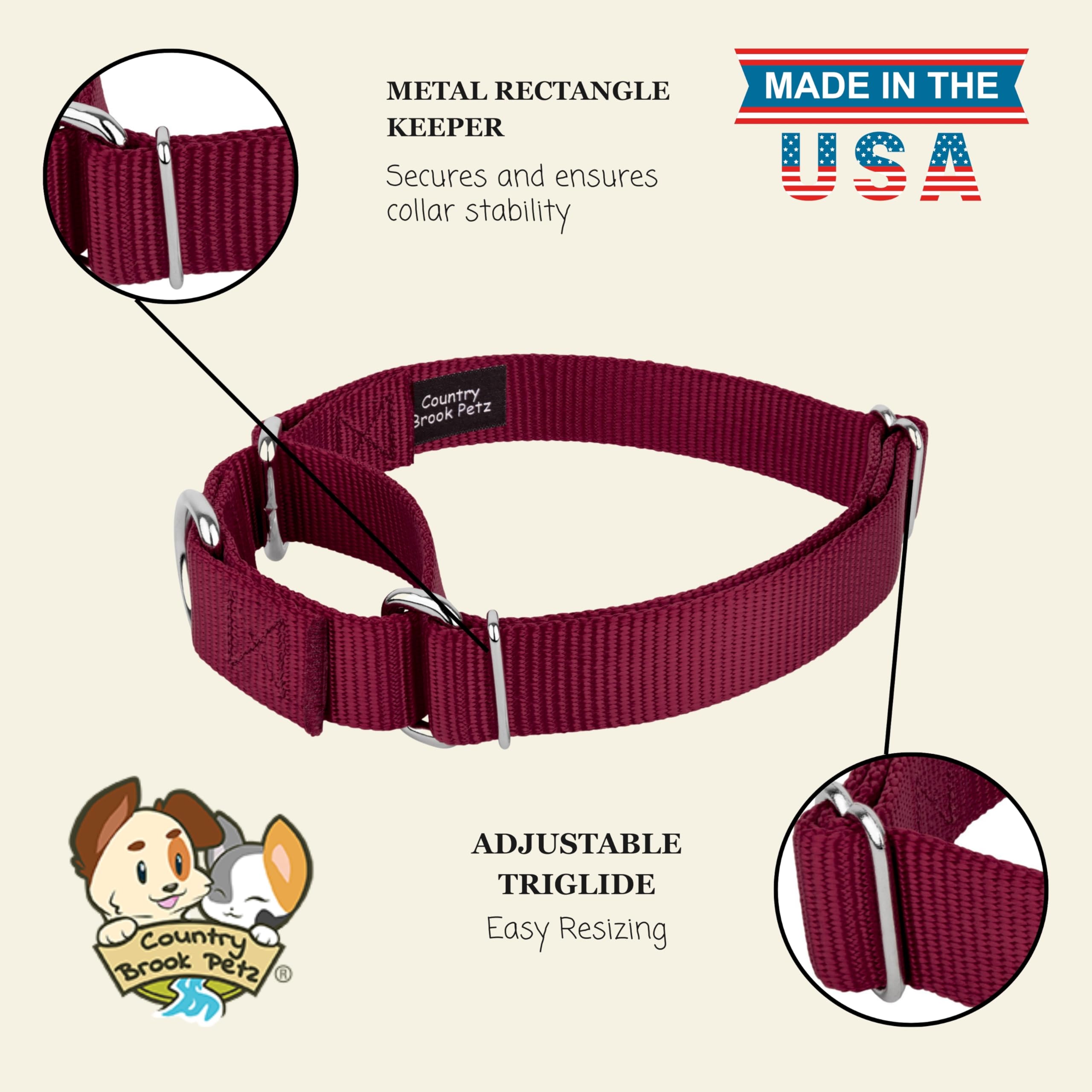Country Brook Petz collar práctico para perros activos durante caminatas diarias.