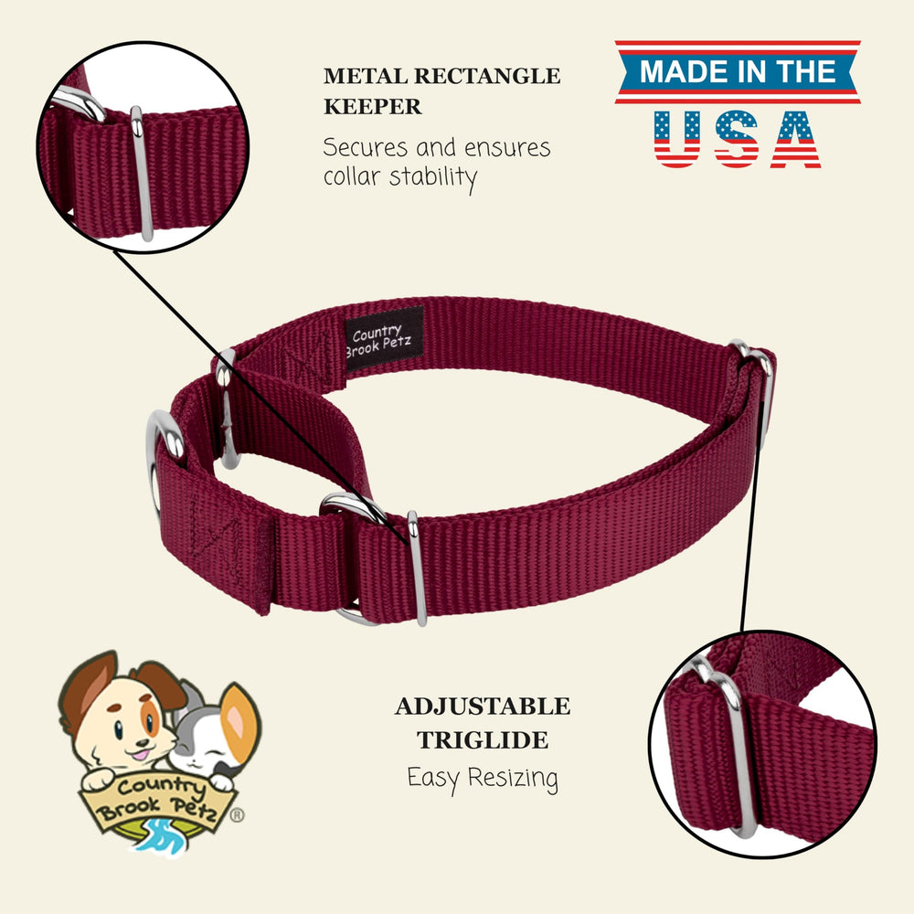 Country Brook Petz collar práctico para perros activos durante caminatas diarias.