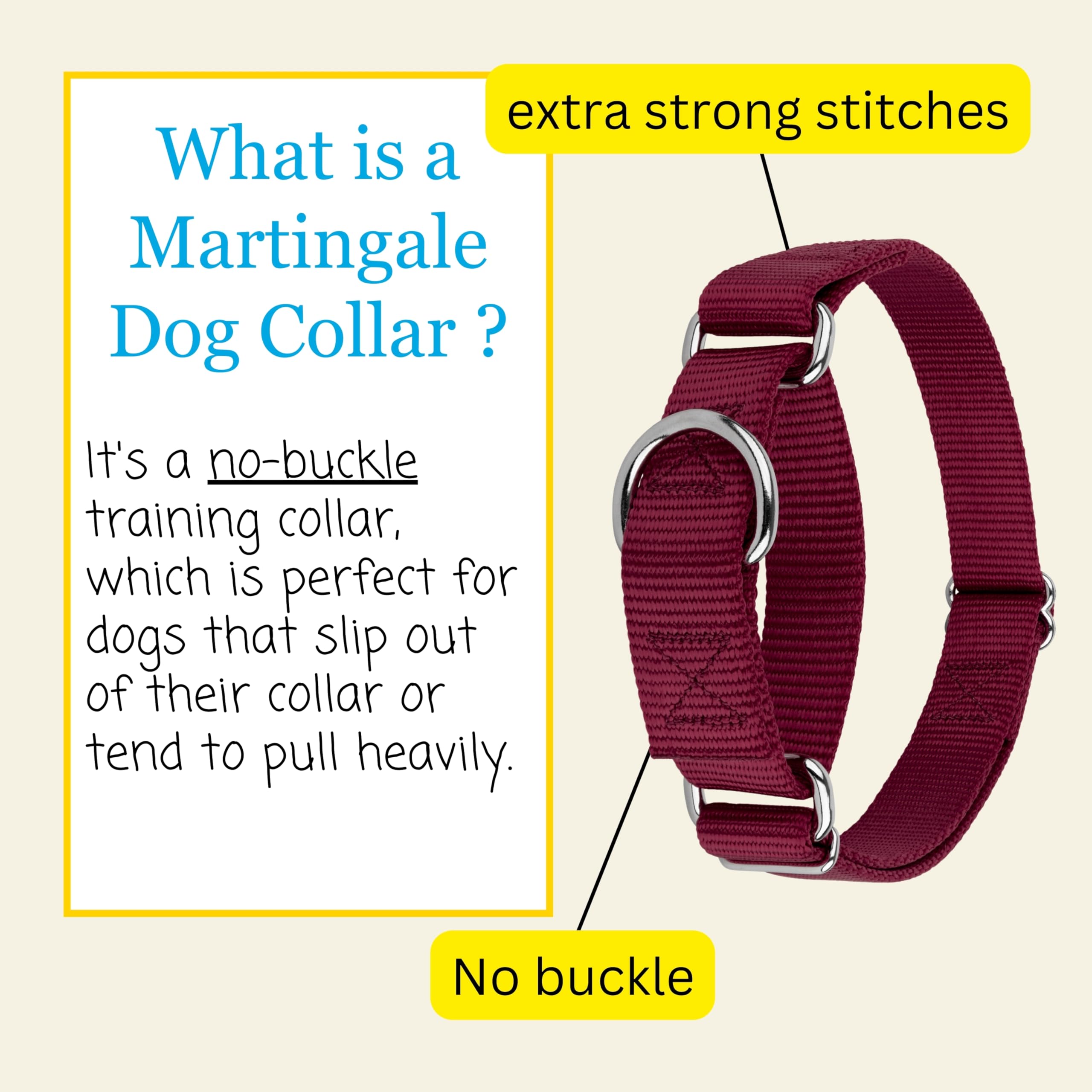 Country Brook Petz collar de entrenamiento resistente para perros obstinados y en aprendizaje.