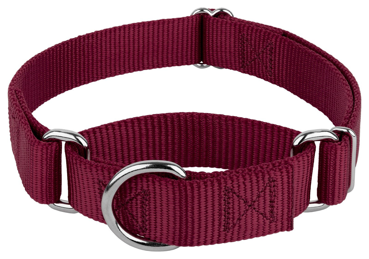 Country Brook Petz collar martingale sin hebilla, ideal para paseos seguros y cómodos.