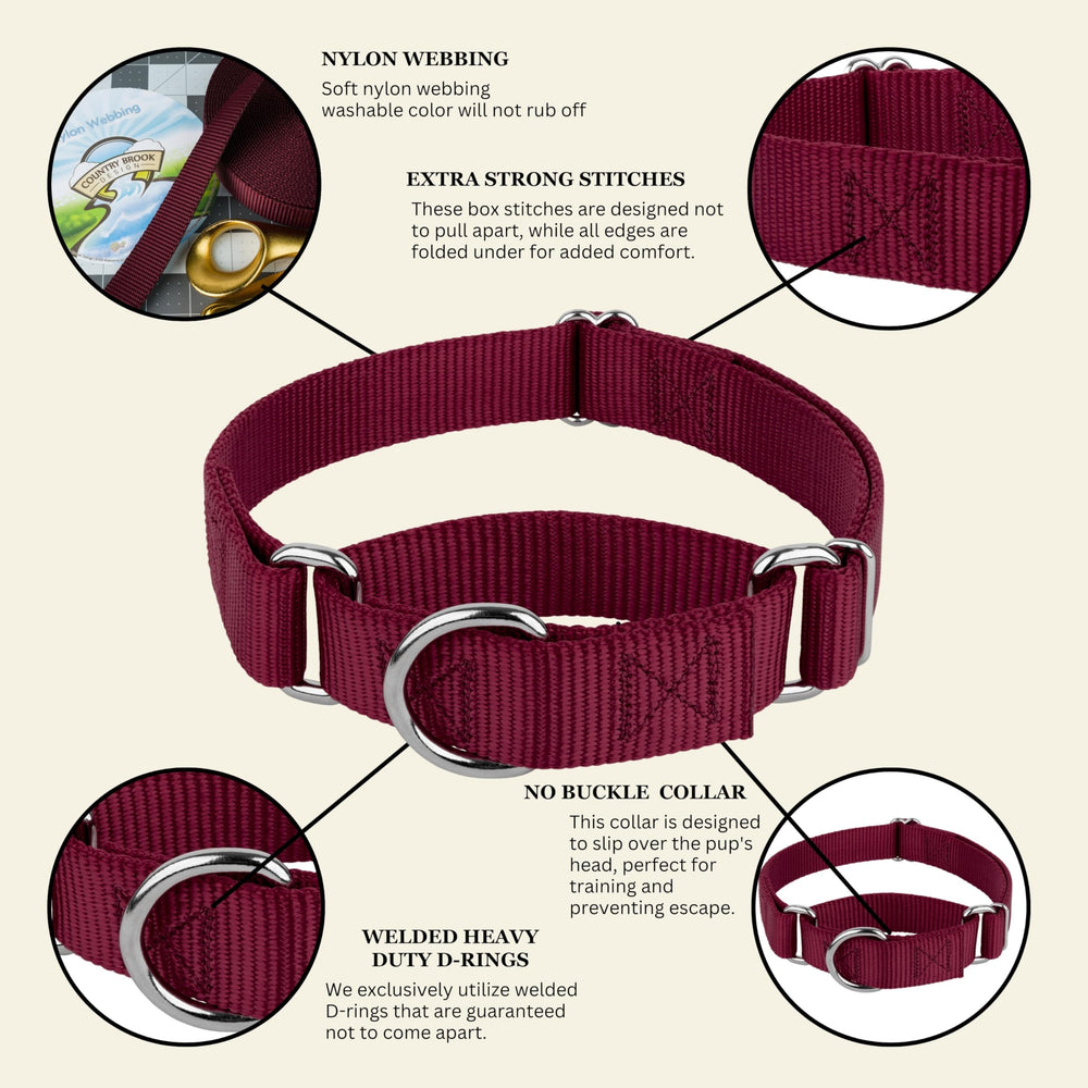 Country Brook Petz collar duradero y de alta calidad para uso continuo.