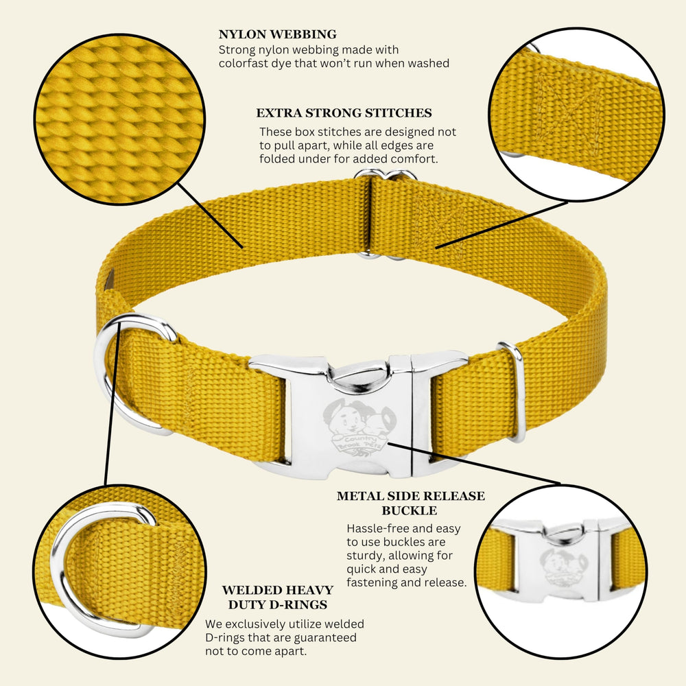 Country Brook Petz collar disponible en más de 30 colores vibrantes