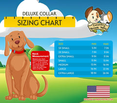Herrajes resistentes en collar Country Brook Petz para mayor seguridad
