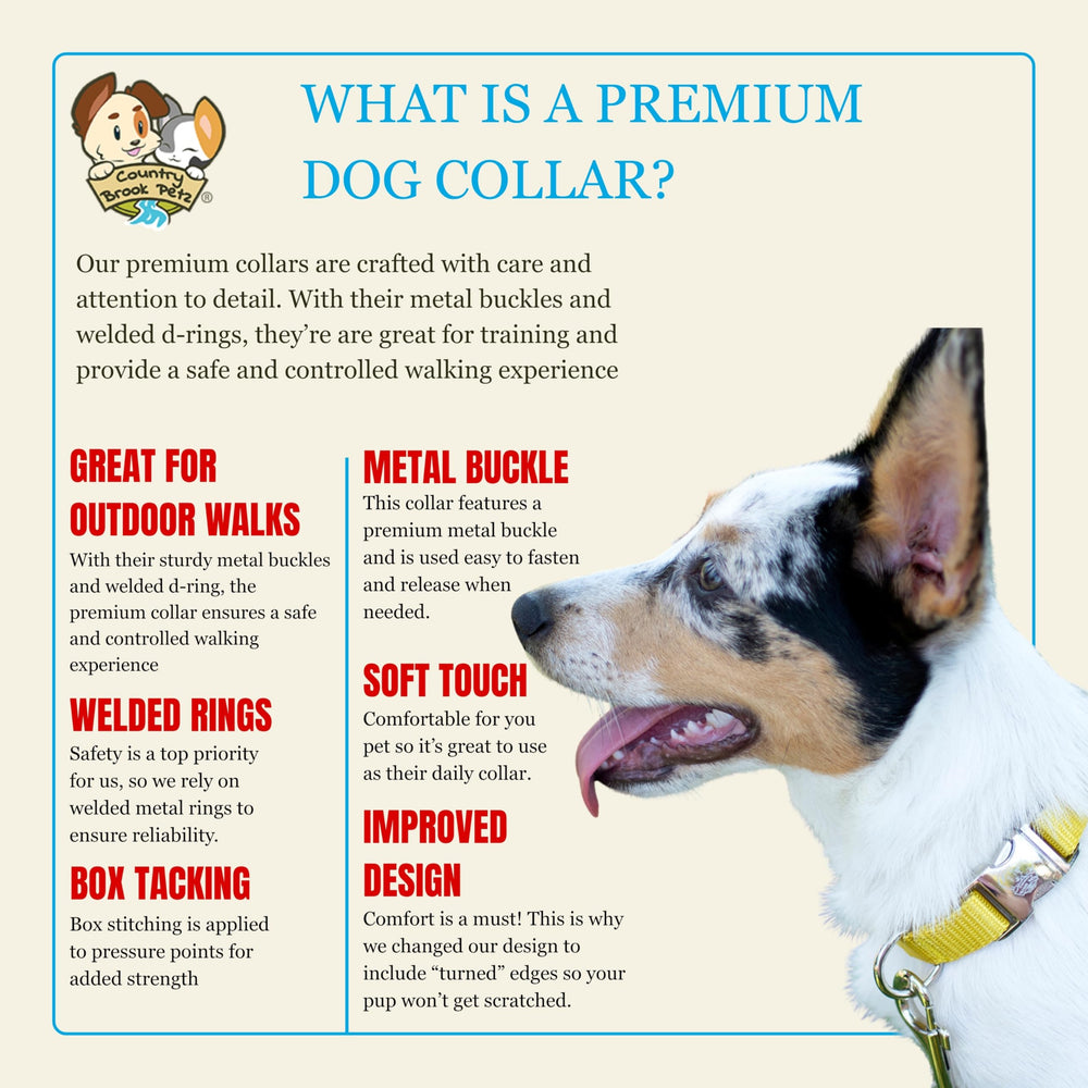 Country Brook Petz collar hecho en eeuu con acabado curvo para mayor confort
