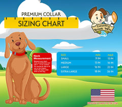 Country Brook Petz collar con hebilla de liberación rápida en metal