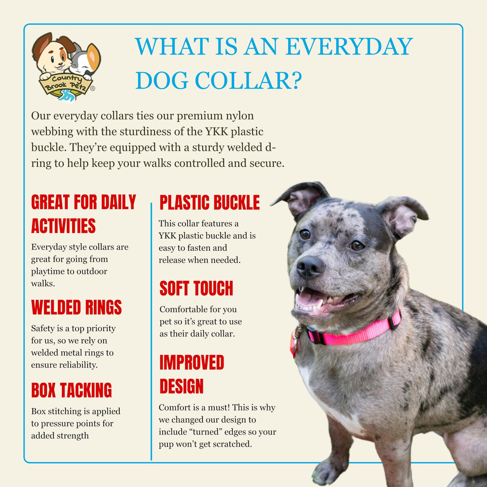 Collar Country Brook Petz rojo tierra, diseño clásico para mascotas