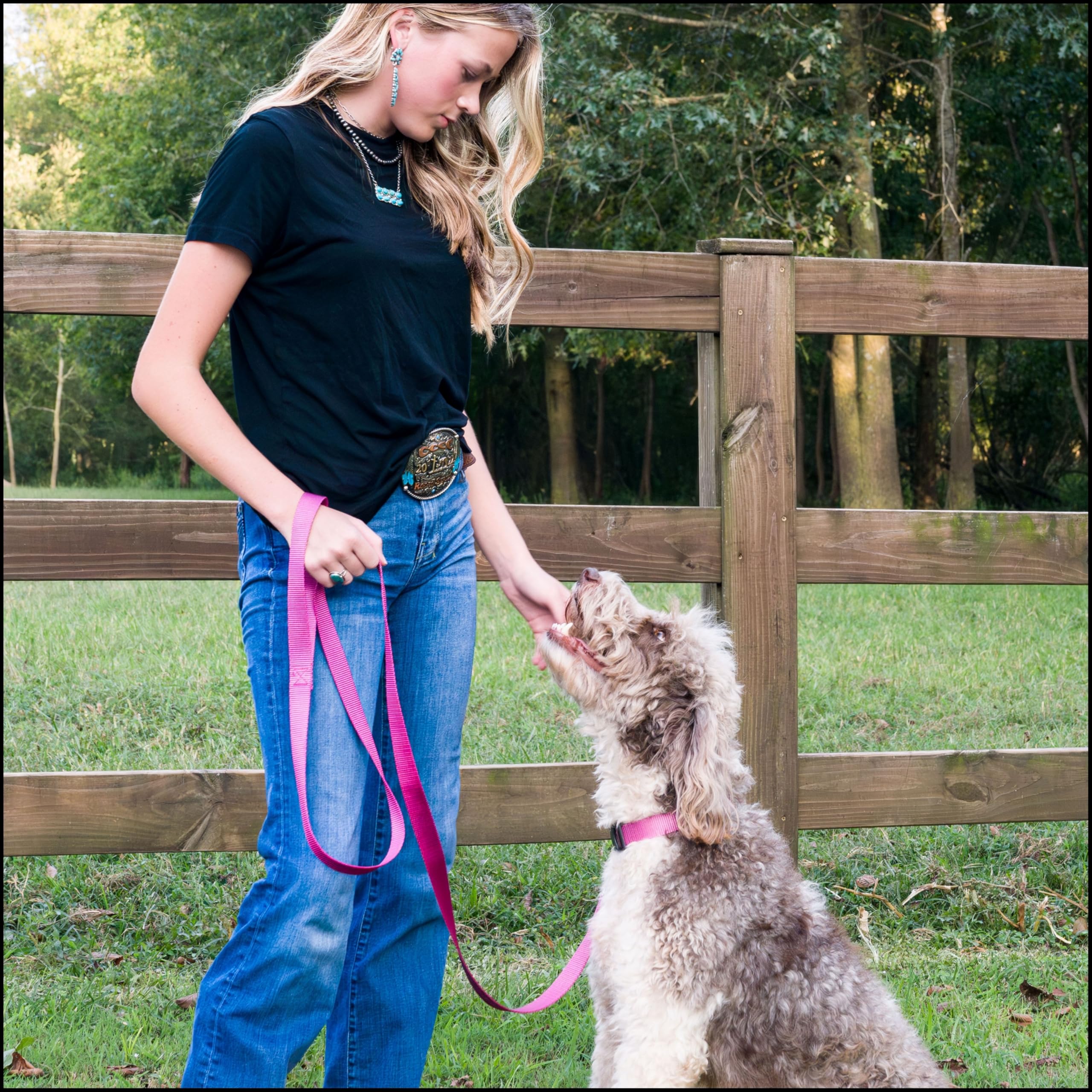 Country Brook Petz collar nylon rosa 1 pulgada de ancho para seguridad diaria.