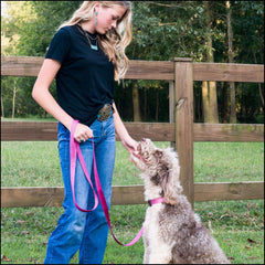 Country Brook Petz collar nylon rosa 1 pulgada de ancho para seguridad diaria.