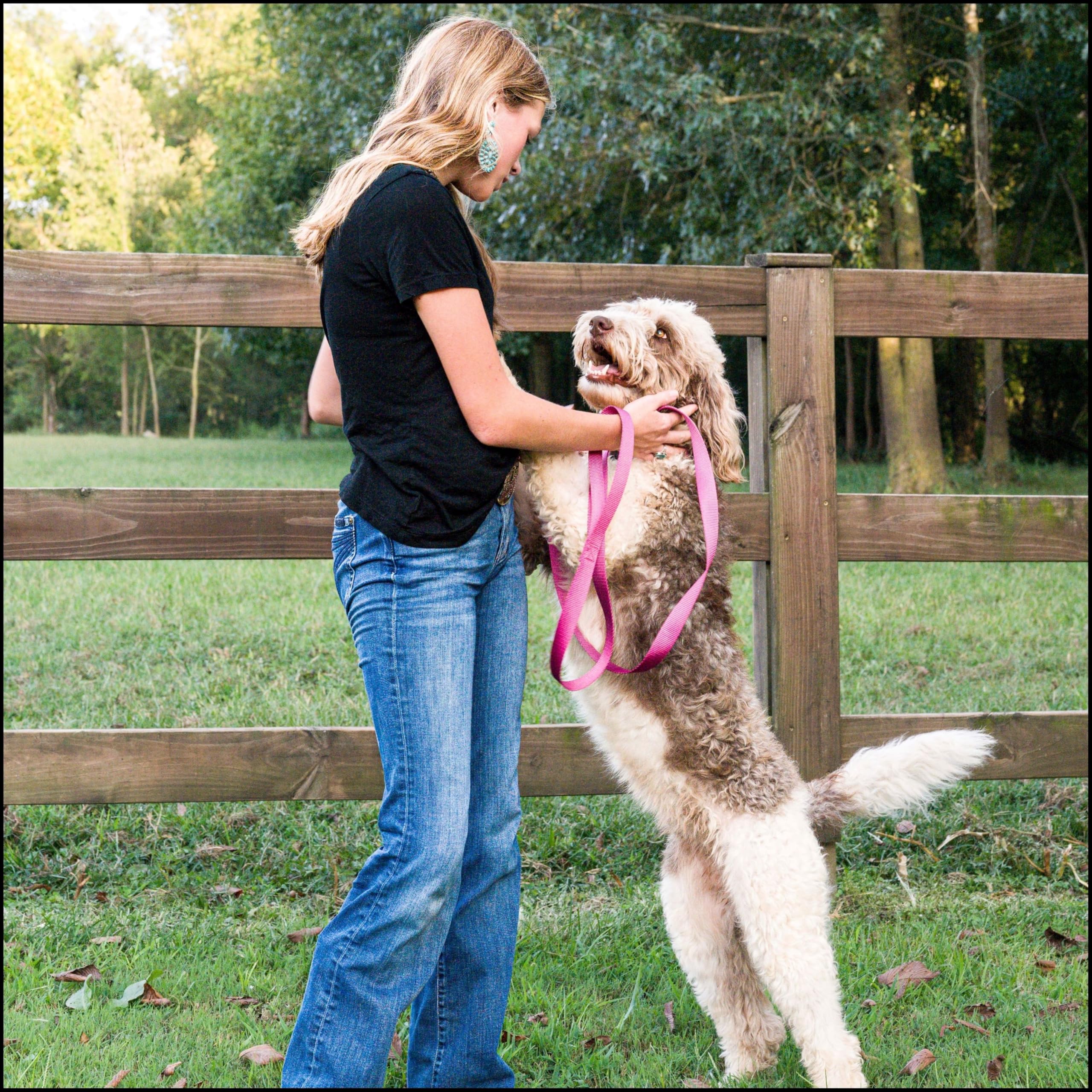 Country Brook Petz collar nylon ajustable para perros de todos tamaños.