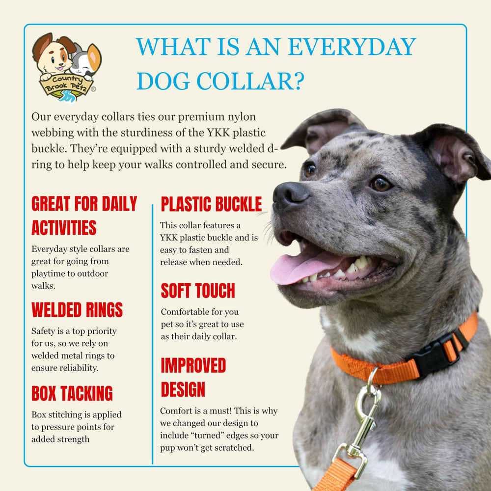 Collar de nylon Country Brook Petz lavable a máquina para uso diario
