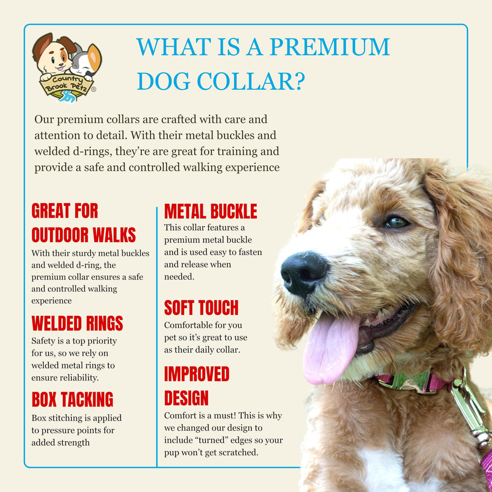 Country Brook Petz collar nylon suave, tacto cómodo para paseos prolongados.