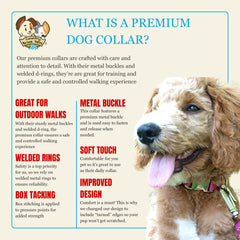 Country Brook Petz collar nylon suave, tacto cómodo para paseos prolongados.