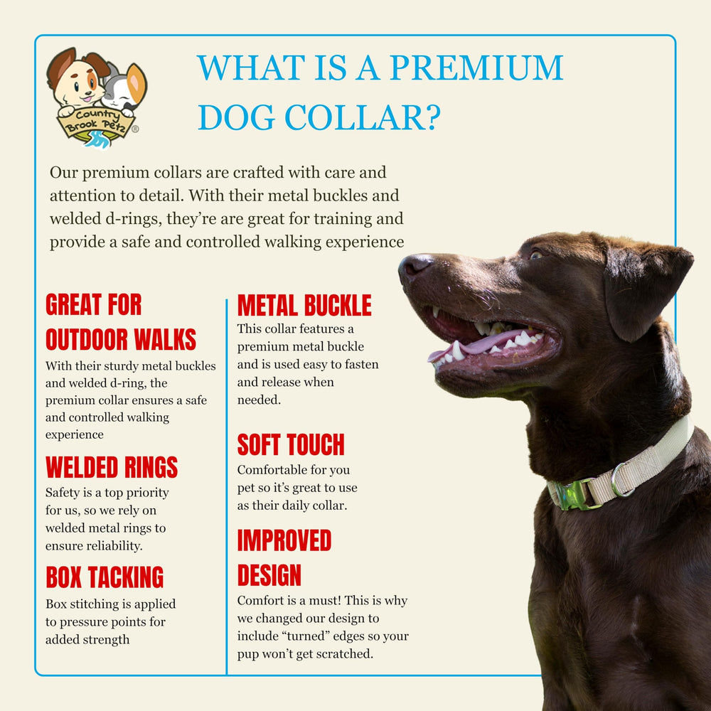 Country Brook Petz collar perro ajustable 16-22 pulgadas: ajuste cómodo para diferentes cuellos.