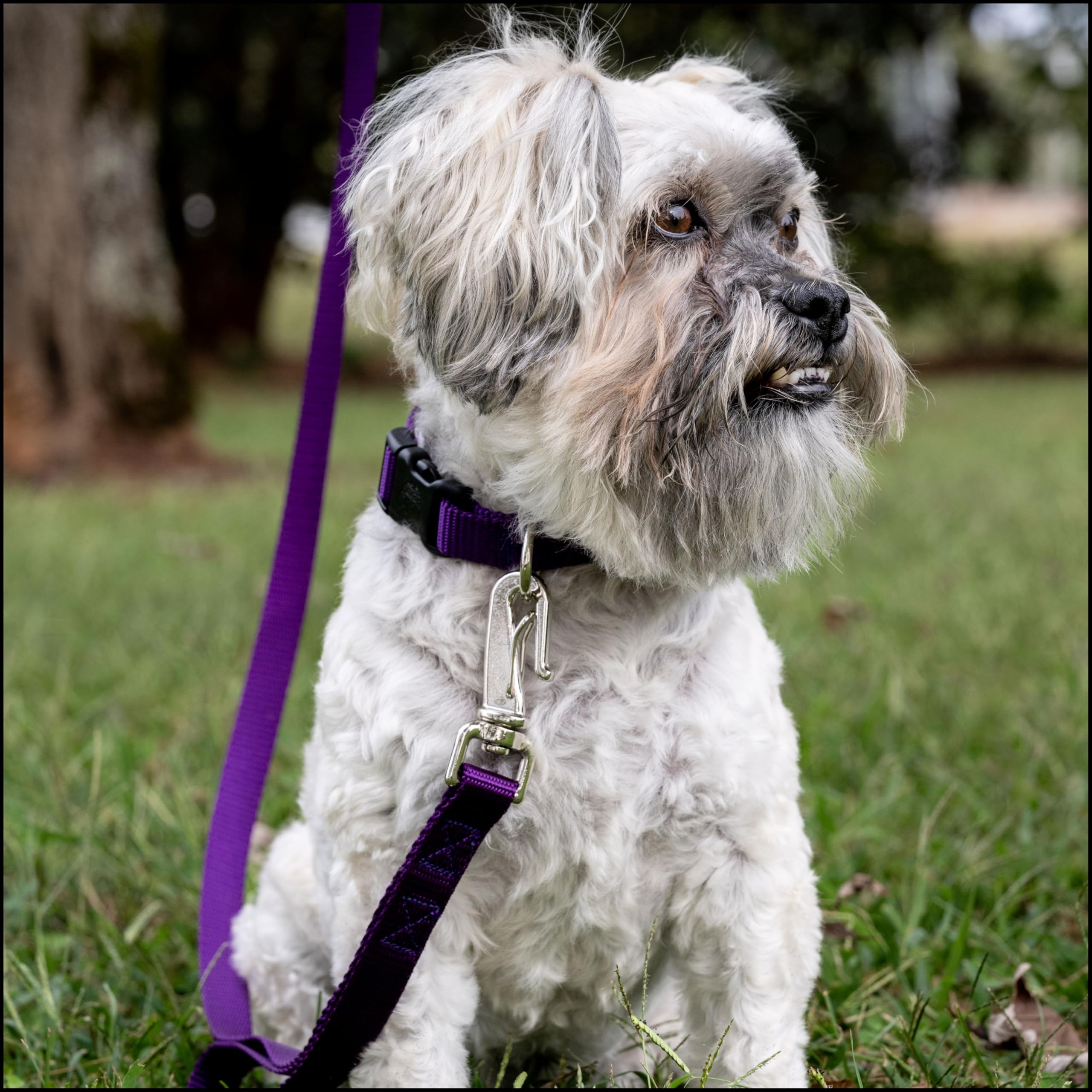 Paleta de 33 colores de Country Brook Petz para combinar con cualquier paseo