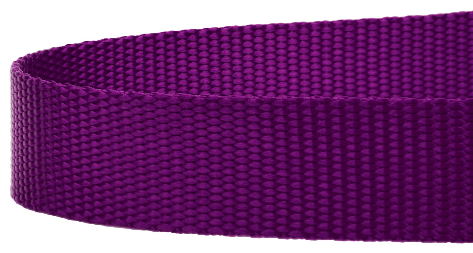 Escena de paseo con Country Brook Petz en morado.