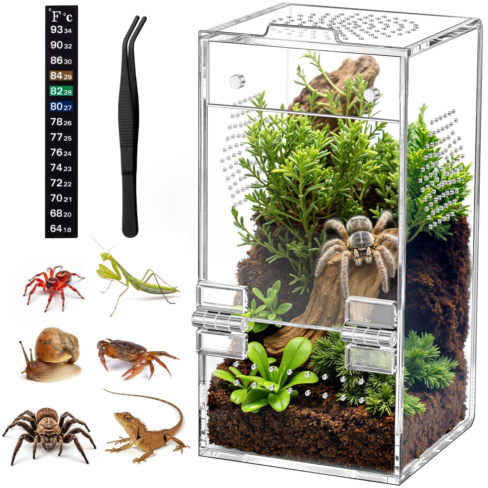 CourtyardAid jaula araña acrílico con visión 360 grados para observar saltos.