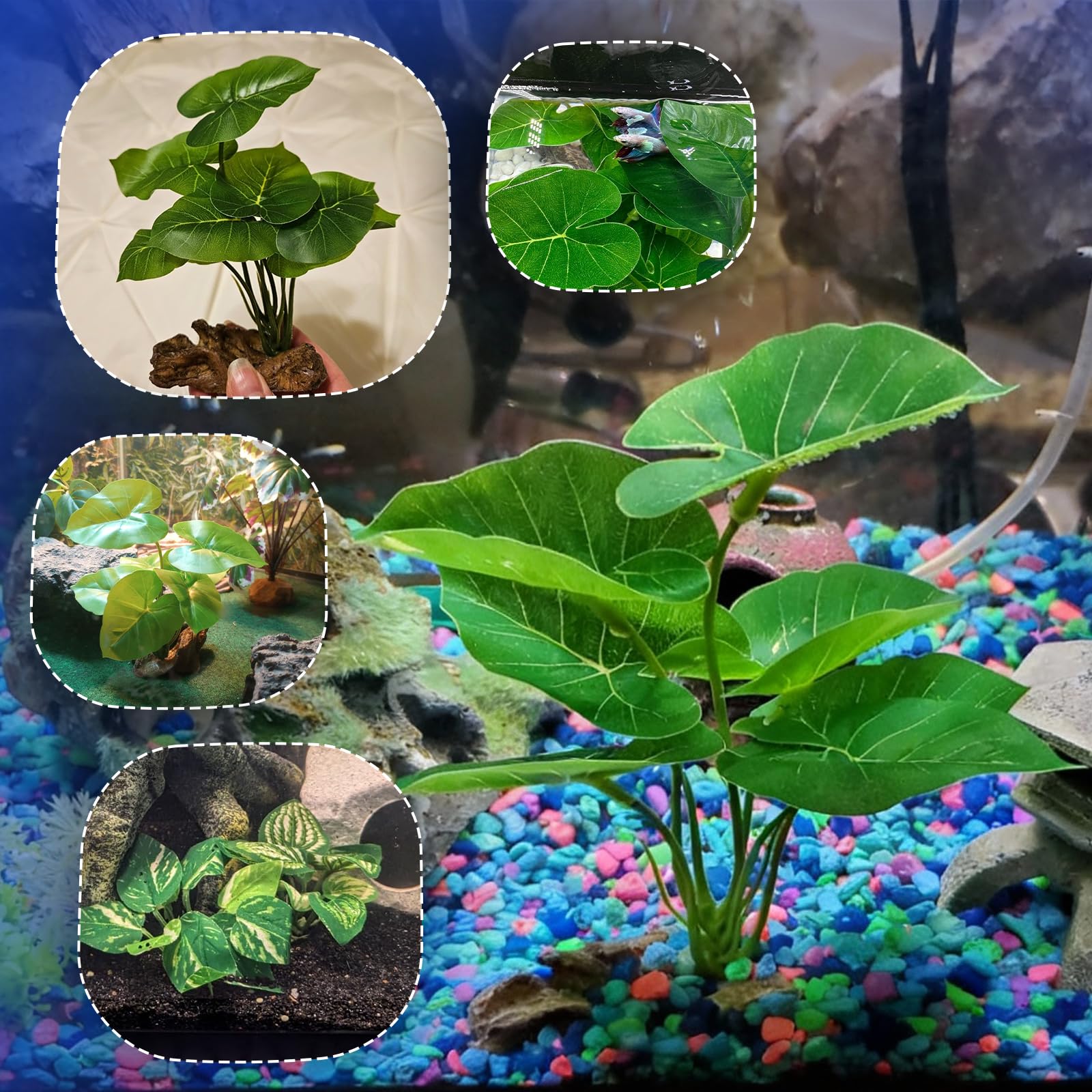 Decoración de seda CousDUoBe sin cambiar el pH del agua.