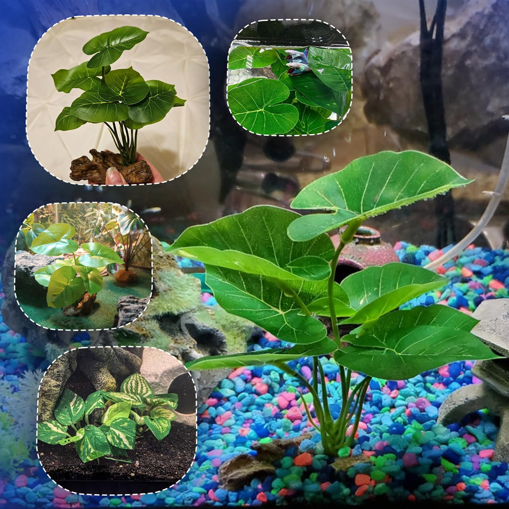 Decoración de seda CousDUoBe sin cambiar el pH del agua.