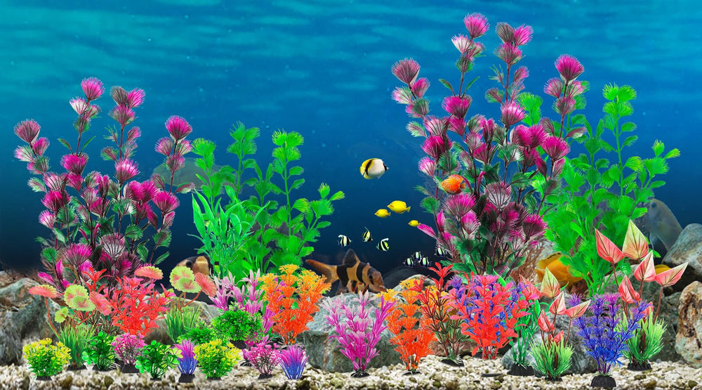 CousDUoBe planta de acuario, variedad de alturas para composiciones dinámicas sin manipular el agua.