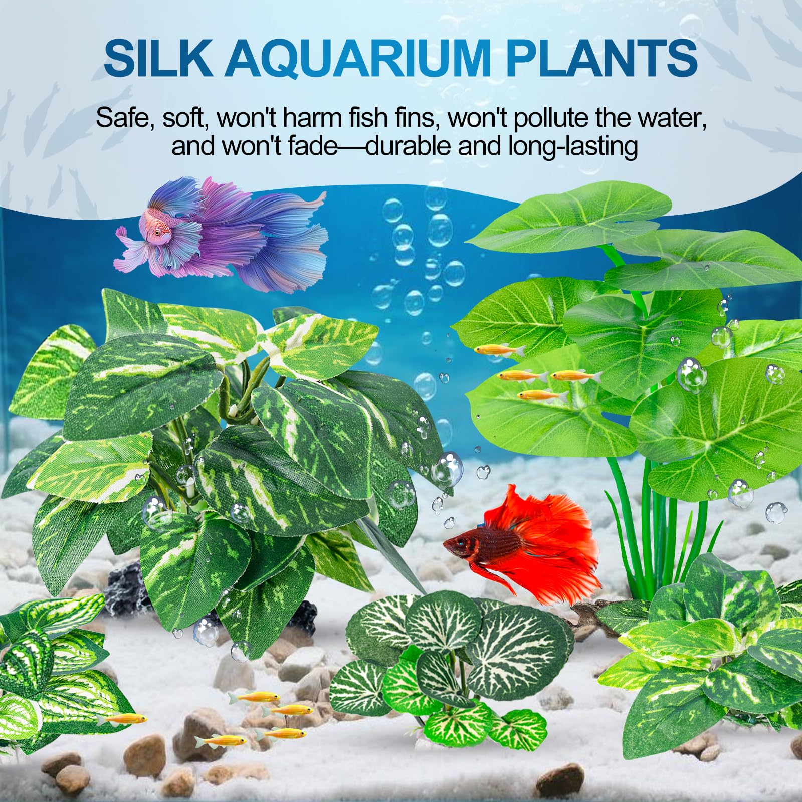 CousDUoBe plantas pequeñas para acuario compacto y fácil de organizar.