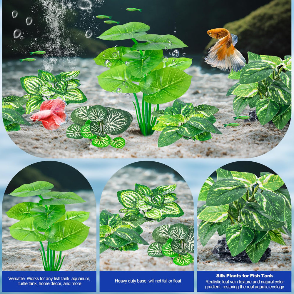 CousDUoBe hojas pequeñas para rincones del acuario urbano.